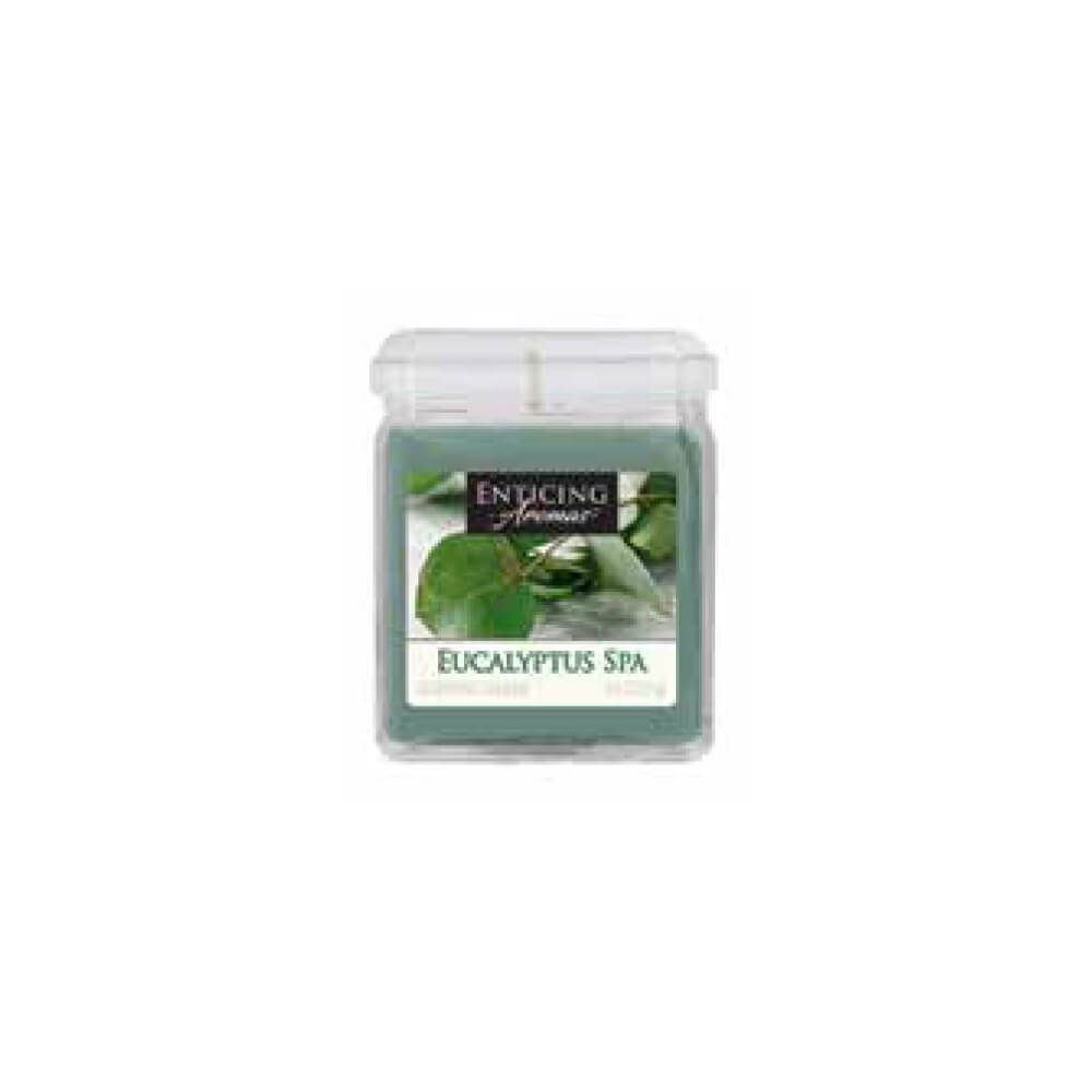 Enticing Candle Cube 70g Eucalyptus Mint