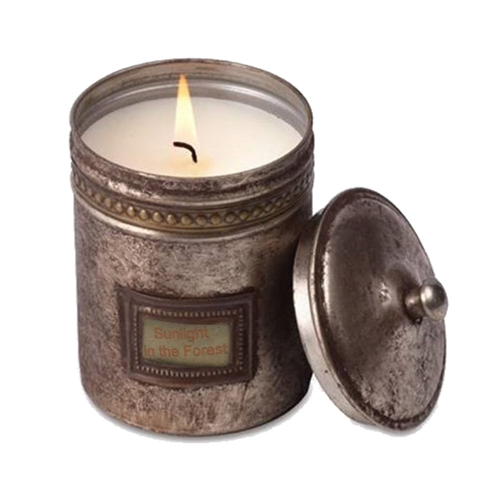 Cafe Tins – Sunlight In The Forest