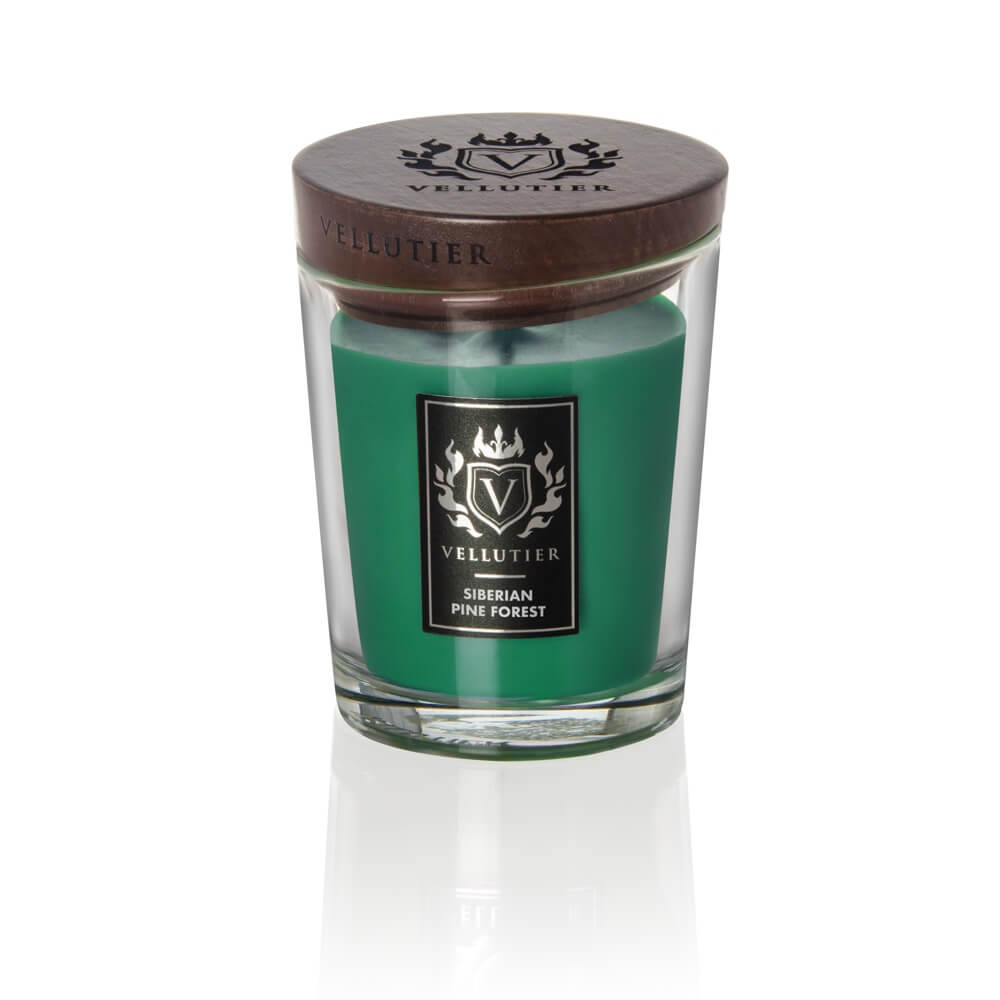 Vellutier – Candela Media – Siberian Pine Forest